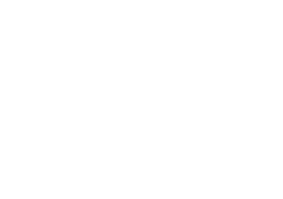 logo-indisa-BLANCO